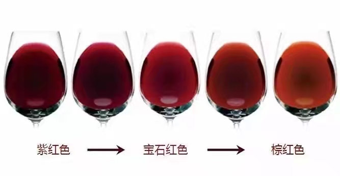 為什么陳年的紅葡萄酒顏色越來越淺，白葡萄酒顏色卻越來越深?